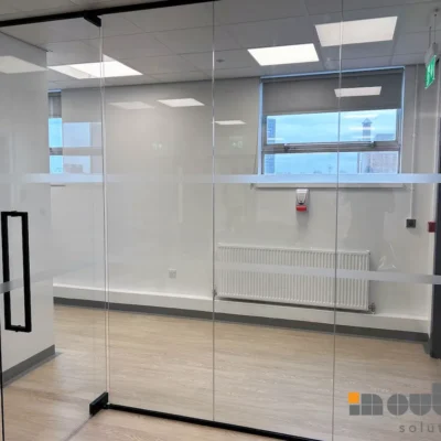 Glass Partition Wall with Frameless Glass Door